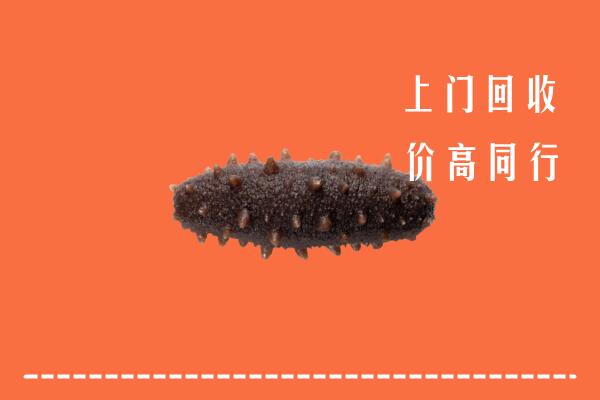 周口高价回收海参